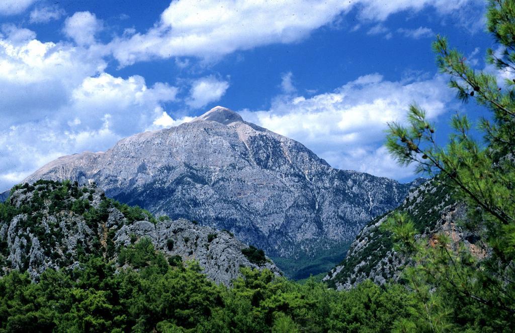Myland Nature Çıralı Dış mekan fotoğraf