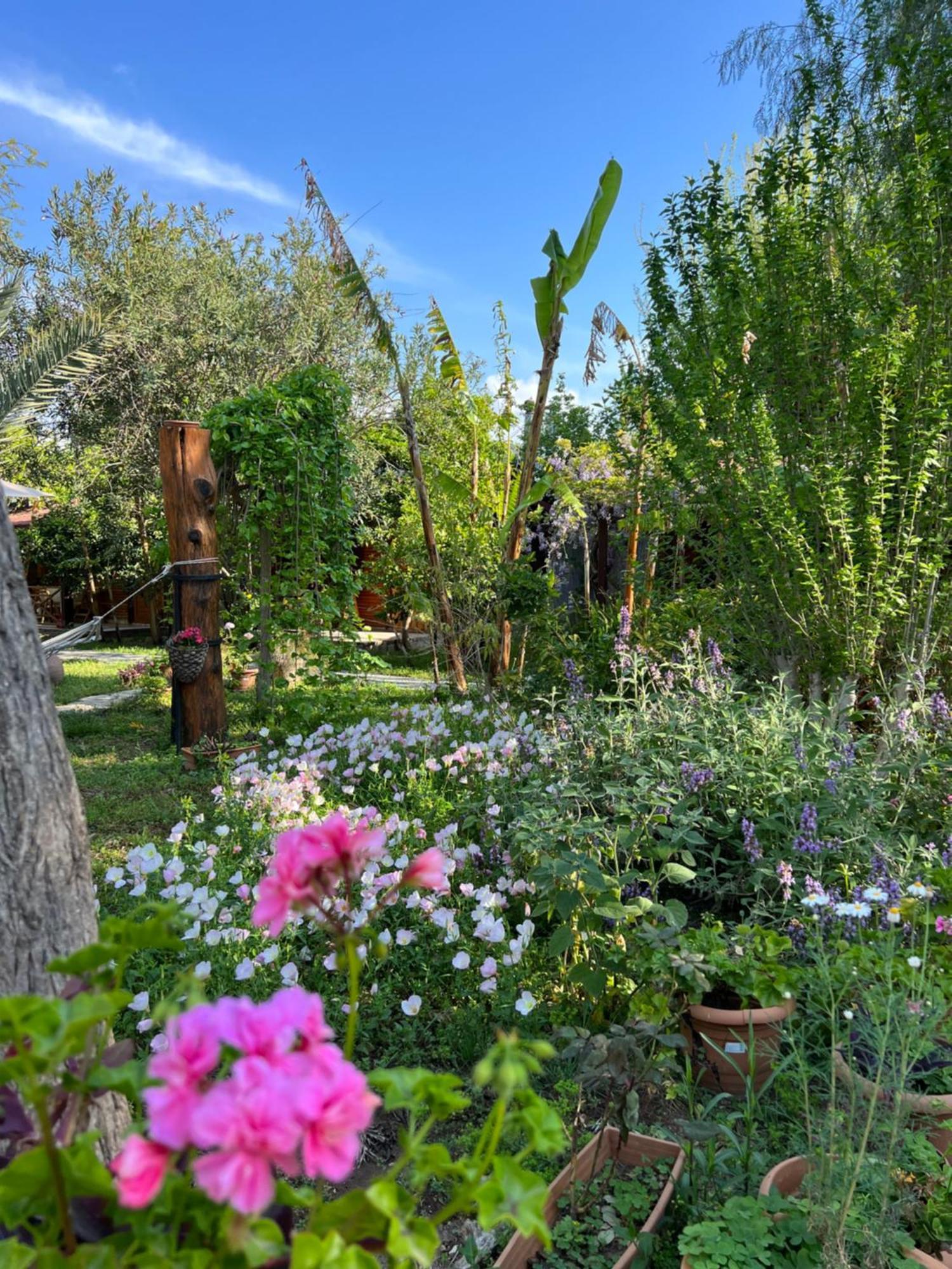 Myland Nature Çıralı Dış mekan fotoğraf