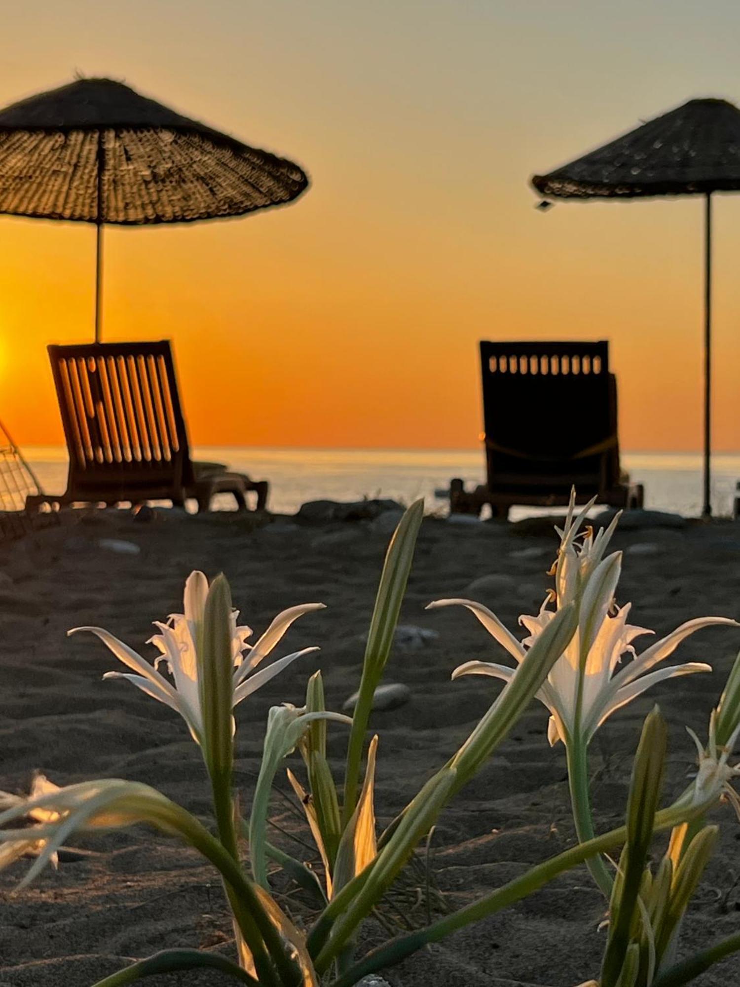 Myland Nature Çıralı Dış mekan fotoğraf